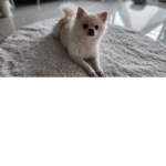 뉴비 인형의 놀이터