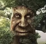 Wise Mystical Trees