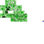 T.R.C (The robloxian Creepers)