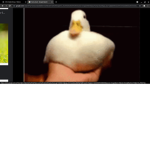 Awesome rats of ROBLOX