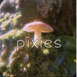 * ~ pixies ~ *