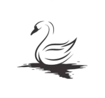 {•White Swan Academy•}