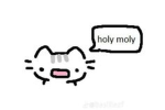 MeowStar953