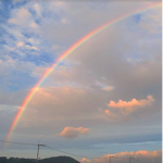 Emotional Rainbows