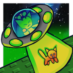 kitticity