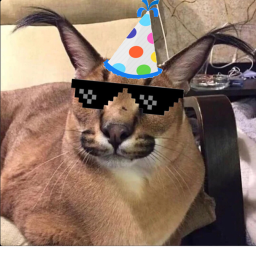 Birthday Party