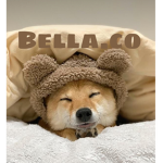 Bella.co