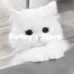 Fo4xy’s Store
