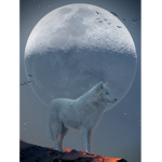 Black neon wolfs