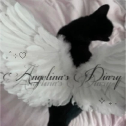 angelina's diary Roblox group icon
