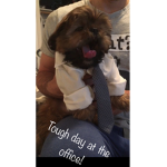 Benji the dog fan club