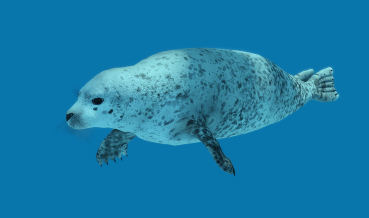 Oceanic TESTING 2 screenshot 2