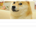The doge clan and meme clan