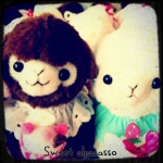 sweet alpacasso