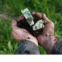 Premium Payout Farming