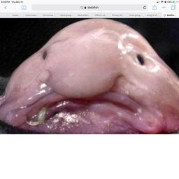 The Chub Games