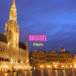 gemeente Brussel roleplay