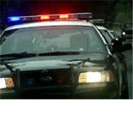 The Robloxian Police (THP)