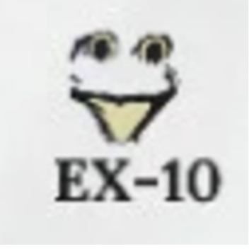 Saçma Hayatta Kalma