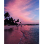 sunset ivie