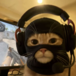 comp ncas only