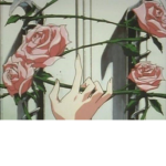 *-Rose Clothing-*