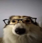 Şẽçťøñëð
