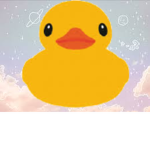 DUCK DUCK AND MORE DUCKS