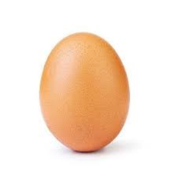 Make this the most disliked egg on Roblox!