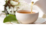 ~euphoria cafe~