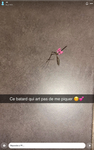 La team des nana
