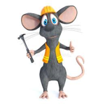 the meme rats.