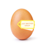 JUST BROTHERS GROUP