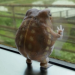 traeh