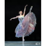 Ballerina school