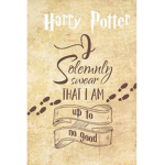 -Hogwarts school of witch craft and wizardry-