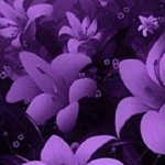 FlowerBop Group
