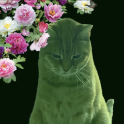 Flight of The Green Oscar Y