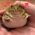 Ren’s Fan Group