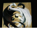 Light and the dark dragon’s studio