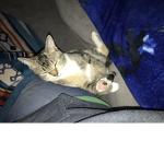Cloudtearqzsleep only