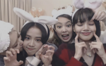 ~한국 팝 애호가•kpop stans~