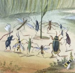 A Bug's Life Group Thumbnail