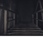 The kidnapped children