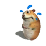 Sweating Chomik