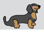 Dachshunds For Life! :)