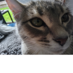 Lucamuru