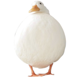 Ophudd