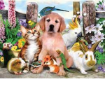 ALL ANIMALS ARE FANTASTIC