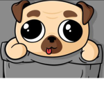 Pug fans join now and adopt me fans